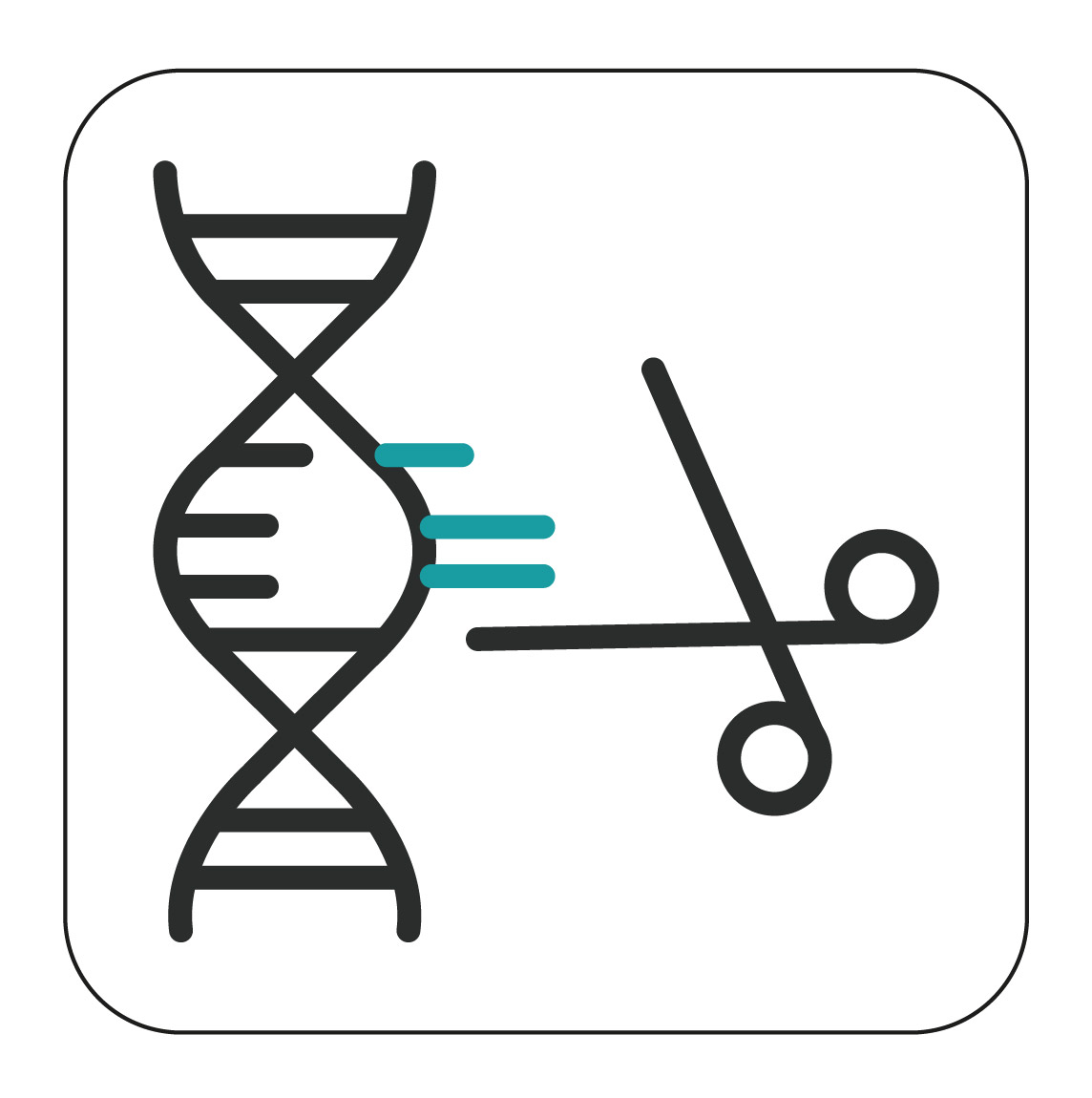 CRISPR-based gene drives